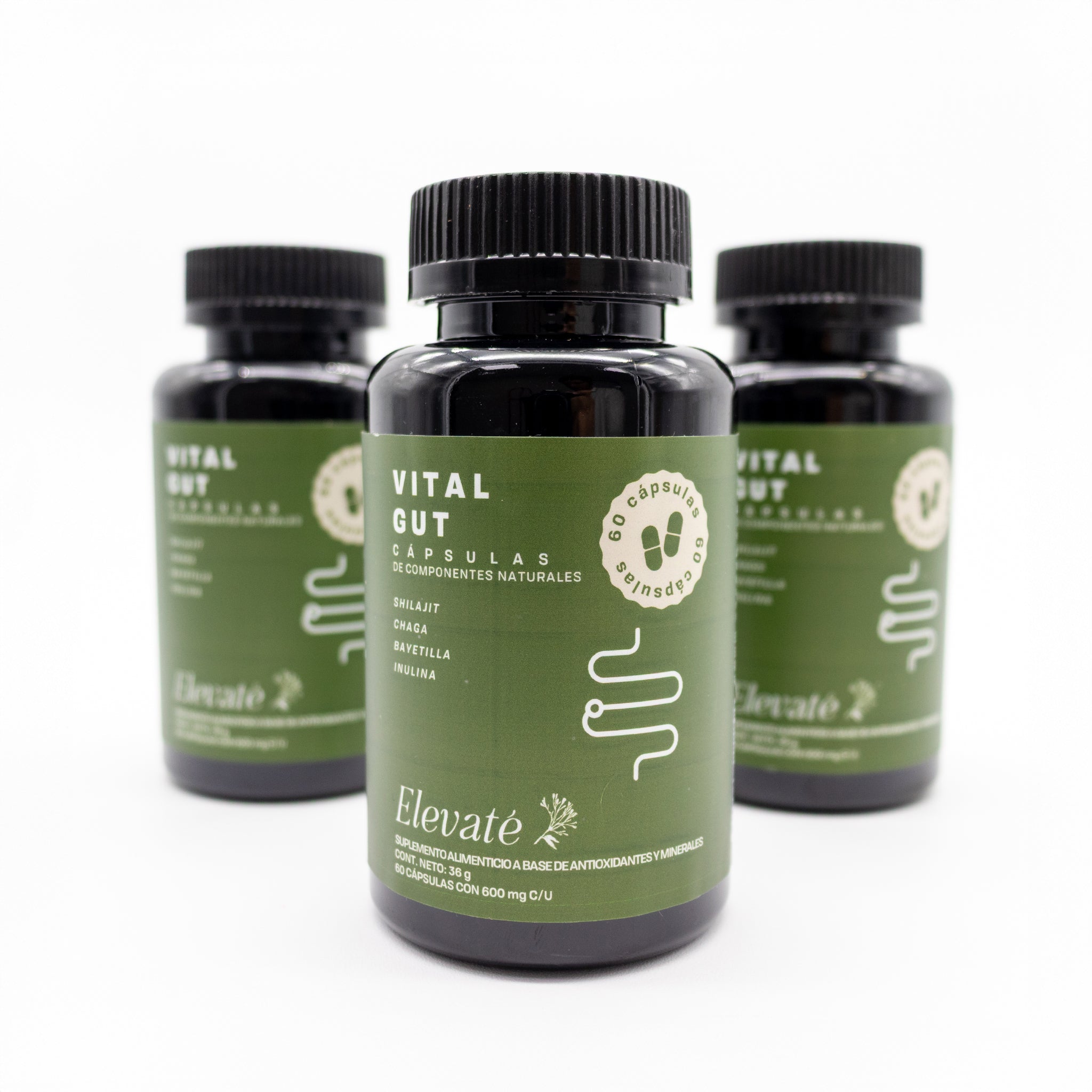 Vital Gut