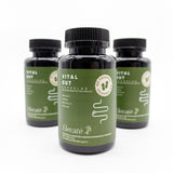 Vital Gut
