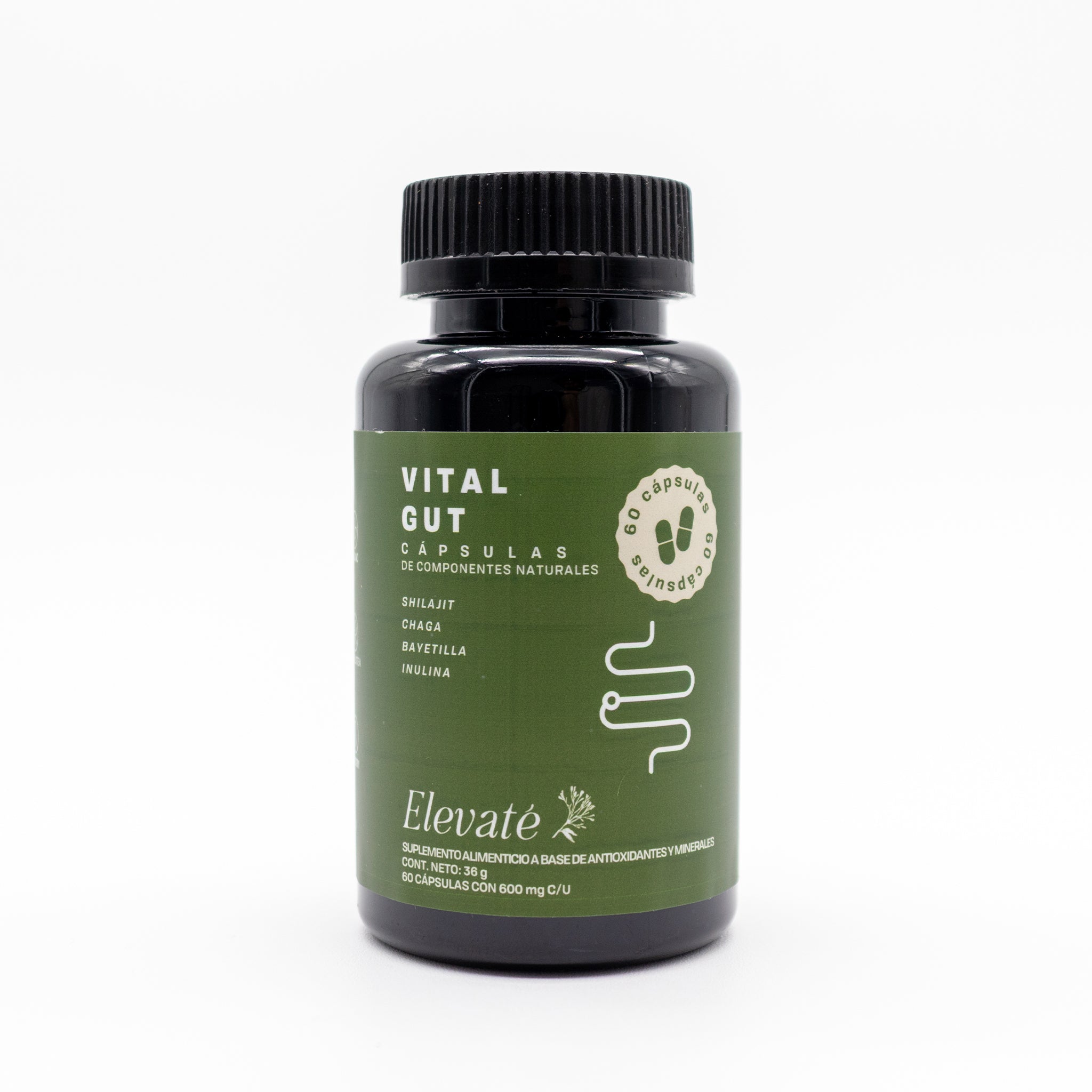 Vital Gut
